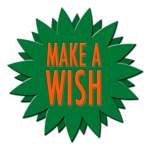 Jetzt neu: MAKE A WISH